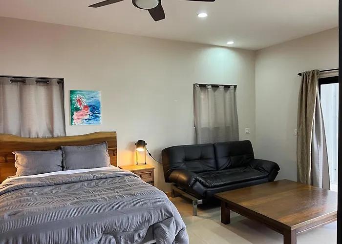 Casa Girasol Ocean Views Steps To Buenavista (Baja California Sur)